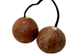 Aslatua