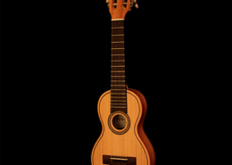 Braguinha, Madeira, Portugal