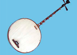 Dan nguyet, Vietname