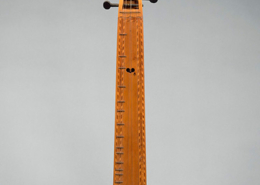 Épinette des Vosges, França