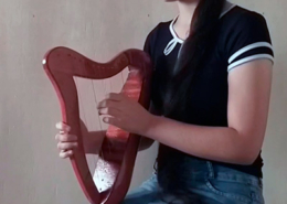 Harpa celta de 12 cordas