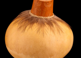 Hue paruhau, Nova Zelândia