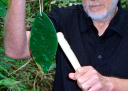 Pahu pounamu, Nova Zelândia