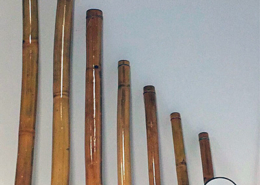 Palo de Iluvia, Chile