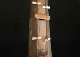 Tsai- ding dramnyen, Butão