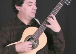 Viola brasileira, Brasil