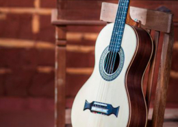 Viola caipira, Brasil