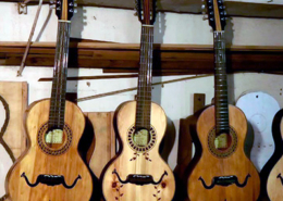 Viola de Queluz, Brasil