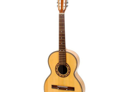 Viola sertaneja, Brasil