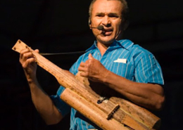 Violinha de vereda, Brasil