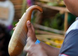 Churuca, reque do Panamá