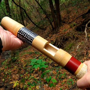 Clapper stick