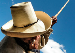 Clarín cajamarquino, Peru