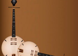 Dan nguyet, Vietname