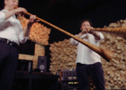 Daudytés, Lituânia