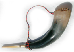 Erquencho, corno, Andes