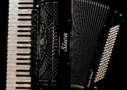 Fisarmonica, Itália