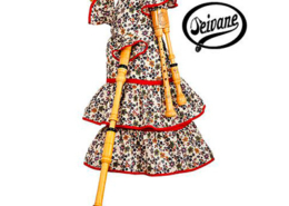 Gaita de boto, Aragão, Espanha