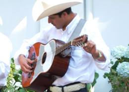Huapanguera, guitarras, México