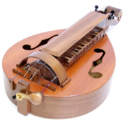 Hurdy gurdy