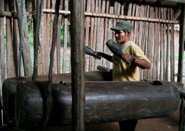 Manguaré, Colõmbia