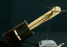 Nwiké, cordofone, Argentina