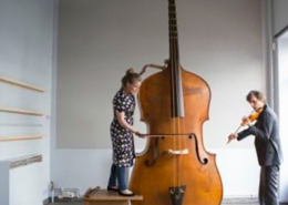 Octobajo, cordofone de arco