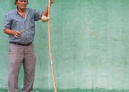 Drimba, harpa de boca, Roménia