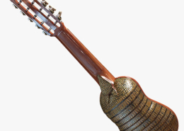 Quirquincho, América do Sul hispânica