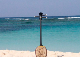 Sanshin, cordofone, Japão