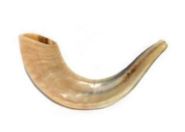 Shofar, Israel