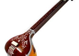 Tanpura, Índia