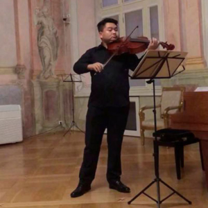 Violotta, Alemanha