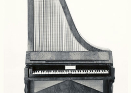 Xenorplica, Áustria