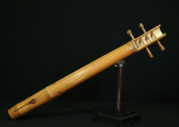 Yata miöri, cordofone de arco, Argentina