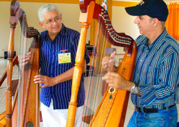 Arpa criolla, Venezuela