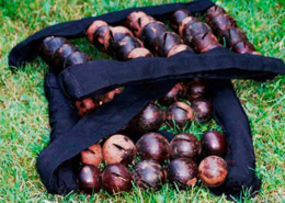 Ebinyege, Uganda