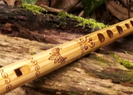 Pincollo, Andes, Equador