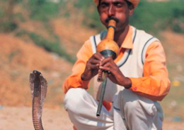 Murli, punji, ou been, Índia