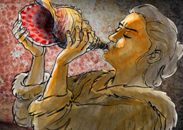 Coquille de Conque, França