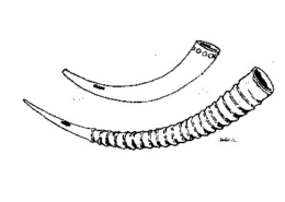 Xipanana, desenho de José Redinha