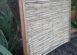 Kayamb, créditos Ricardo Lopes