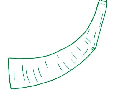 Karau dikur, Timor Leste